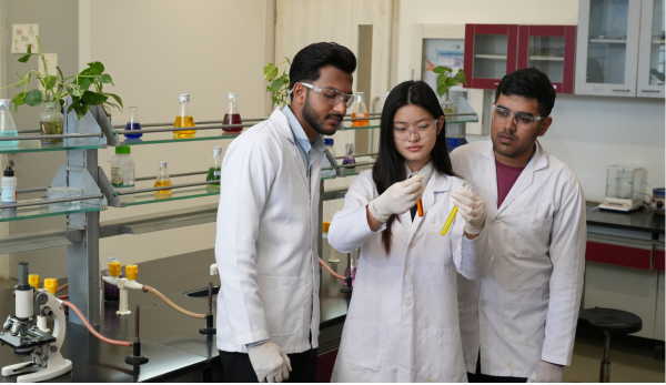 practical based BSc courses