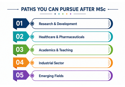 Career Opportunities After M.Sc. 