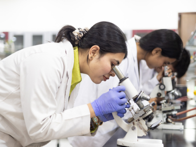 Msc Bioinformatics
